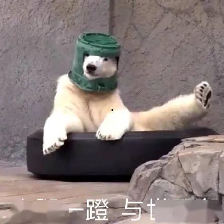 沙雕吃瓜爆料视频下载,一场网络爆料的狂欢盛宴